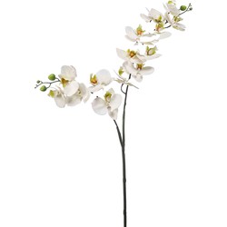 Emerald Kunstbloem Orchidee - 100 cm - wit/groen - losse tak - kunst zijdebloem - Phalaenopsis - Kunstbloemen