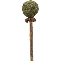 TRIXIE MATATABI LOLLY MET CATNIP 11 CM