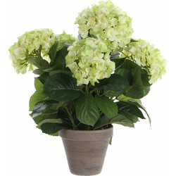 Groene hortensia kunstplant 45 cm met grijze pot - Kunstplanten