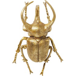 Kare Wanddecoratie Atlas Beetle Gold