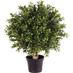 Bellatio flowers and plants Buxus bol kunstplant op stam - H34 x D25cm - Kunstplanten