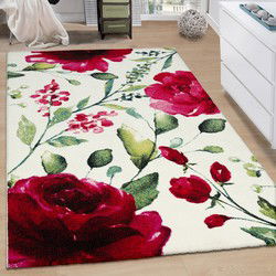 Laagpolig Vloerkleed - Cantera - Multi - 80x150 cm
