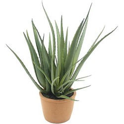 aloe vera 47 cm kunstplant - Buitengewoon de Boet