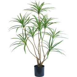 Hoyz Greenery - Kunstplant Dracaena 120 cm