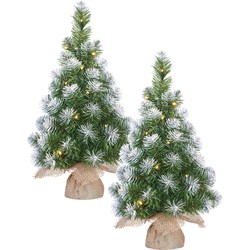 2x stuks groene LED verlichte kunstboom met 15 LED lampjes en sneeuw 60 cm - Kunstkerstboom