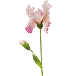 Kunstbloem Iris 80 cm roze