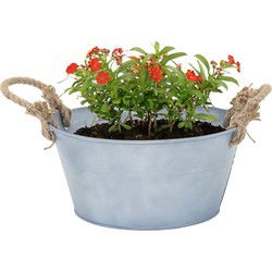 Mega Collections teil/plantenpot Old Rope - zink - zilver - D30 X H14 cm - IJzeren emmer / teil