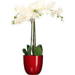 Orchidee kunstplant wit - 75 cm - inclusief bloempot rood glans - Kunstplanten