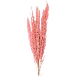 Clayre & Eef Droogbloemen Roze Droogbloemen