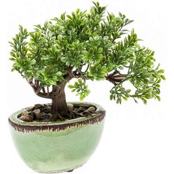 Seidenpflanze mini Bonsai Ficus Kunstpflanze exkl. Vase Kollektion - Driesprong Collection