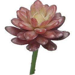 Kunst Sedum pick bordeaux - 16 cm