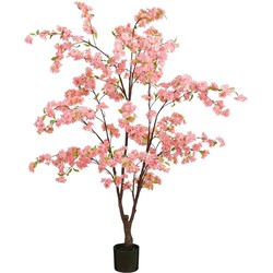 Mica Decorations Kunstbloem Blossom - 50x50x168 cm - Polyester - Roze