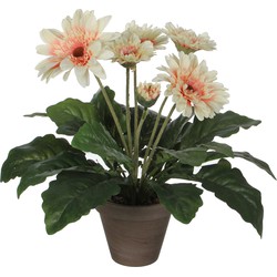 Mica Decorations Kunstplant - gerbera - creme - in pot - 35 cm - Kunstplanten