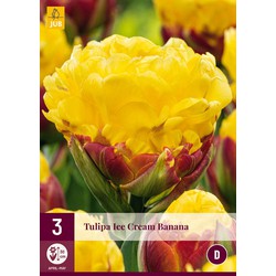 Tulipa ice cream banana