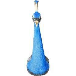 Kare Wanddecoratie Peacock