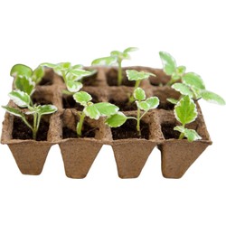 2 stuks - Turfpottrays H5x4x4cm set a 6 trays van 12 stuks