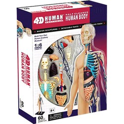 Educatief Speelgoed Anatomie model lichaam -- 4D puzzel