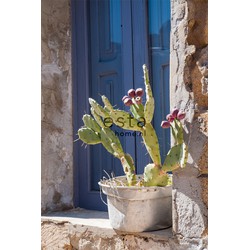 ESTAhome fotobehang cactus blauw, groen en beige - 186 cm x 2,79 m - 158610