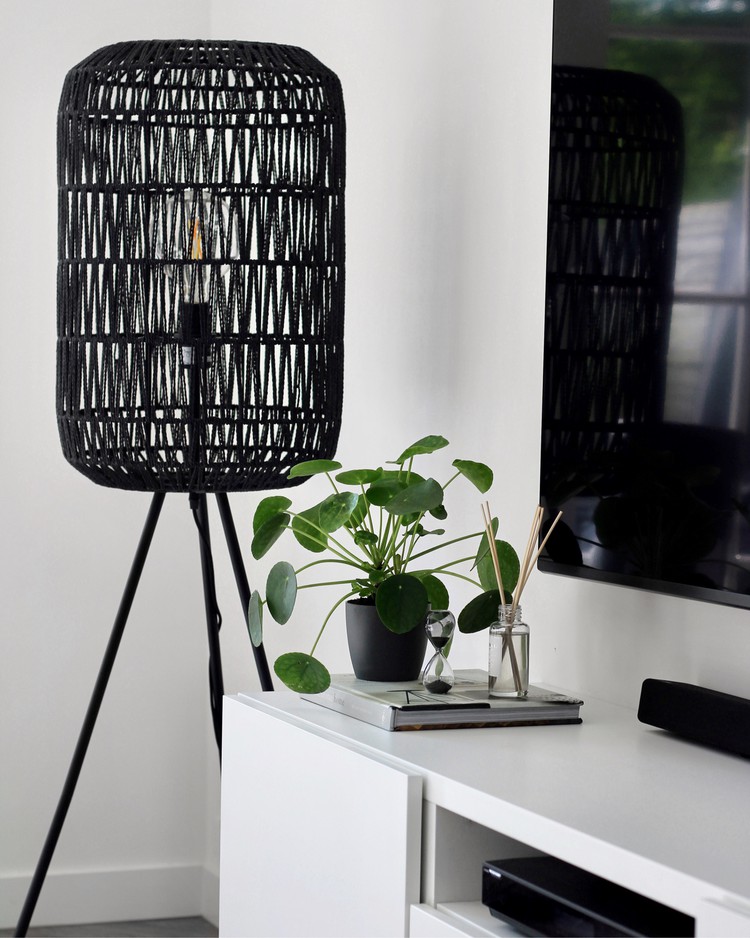 geurstokje interieur grijs lamp pannenkoekplant