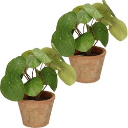 2x Groene kunstplanten pilea plant in pot 25 cm - Kunstplanten