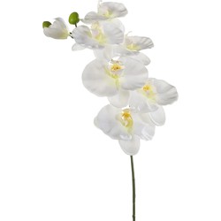 Emerald Kunstbloem Orchidee - 80 cm - wit - losse tak - kunst zijdebloem - Phalaenopsis - Kunstbloemen