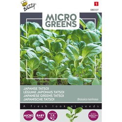 5 stuks - Microgreens Tatsoi