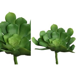 PTMD Succulent Aeoniumpluk Kunstplant - 10 x 17 x 17 cm - Groen