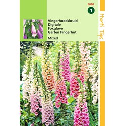 2 stuks - Digitalis Purpurea Gemengd - Hortitops