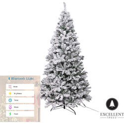 Excellent Trees® Rova Witte Kerstboom met Sneeuw en LED Verlichting ⌀100cm - ↕180cm