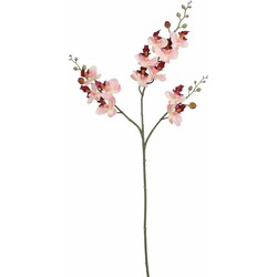 Mica Decorations Kunstbloem Orchidee tak - lichtroze - 75 cm - Kunst zijdebloemen - Kunstbloemen