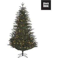 Black box kunstkerstboom led frasier fir - 185x124 blauw groen 288 led