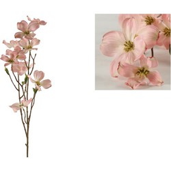 Dogwood tak Fiona M roze