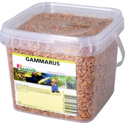 Gammarus 1,2 Liter Futtermittel - Suren Collection