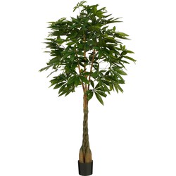 Mica Decorations Pachira Kunstplant - H150 x Ø65 cm - Groen