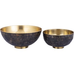 PTMD Loder Gold Horn shiny bowl natural horn mosaic SV2