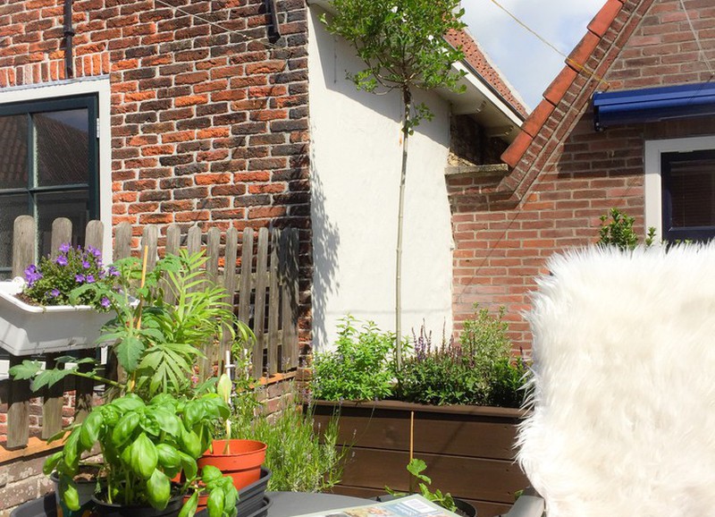 Zo kan jij je eigen moestuin aanleggen