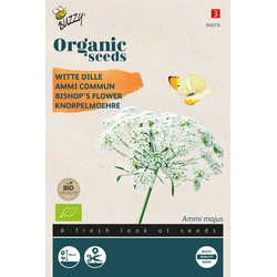 Organic Ammi Majus BIO