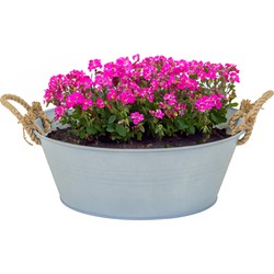 Mega Collections teil/plantenpot Old Rope - zink - zilver - D40 X H14 cm - IJzeren emmer / teil