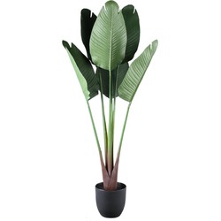 PTMD Kunstplant Reizigers Palm - 75x75x120 cm - Plastic - Groen