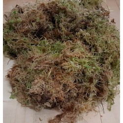 Sphagnum mos in bakje/zakje (los circa 3 liter)