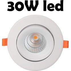 30W spot LED voor verlichten van rood vlees 145mm tot 170mm gat, 180 mm buiten