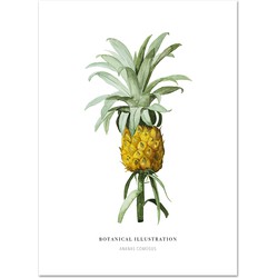Poster 'Ananas' A4