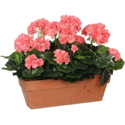 Mica Decorations geranium zalm in balkonbak terra maat in cm: 39x13x40