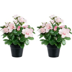 Azalea Kunstbloemen - 2 stuks - in pot - wit/roze - H25 cm - Kunstbloemen