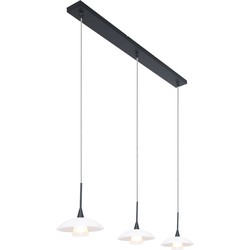 Steinhauer hanglamp Tallerken - zwart -  - 2654ZW