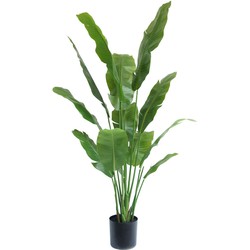 Kunstplant Strelitzia Nicolai 165 cm | NeverLeafs