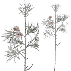 PTMD Twig kunstplant tak met dennenappels - Kunststof - Grijs Wit