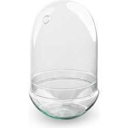 URBANJNGL - Glazen bol - eivorm - gesloten terrarium 30 cm