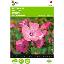 2 stuks - Lavatera trimestris Rose Rood