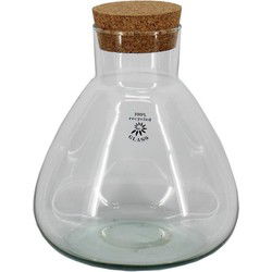 URBANJNGL - Terrarium met kurk - Sammie - Gesloten terrarium ↑ 26.5 cm